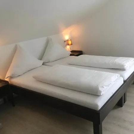 Hotel Hotel-pension Zum Paradies Willingen (Upland)