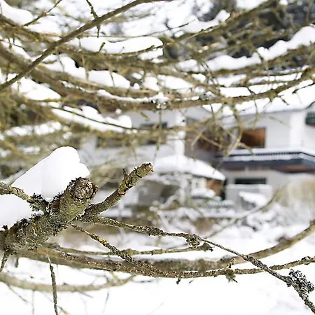 Hotel-pension Zum Paradies 2* Willingen (Upland)