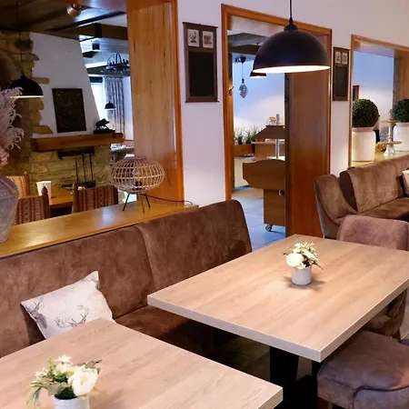 Hotel Hotel-pension Zum Paradies Willingen (Upland)