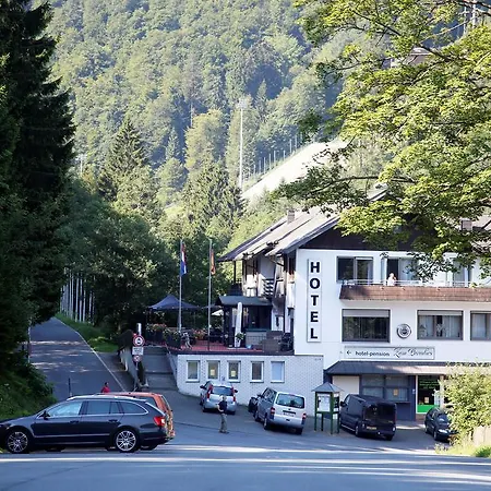 Отель Hotel-pension Zum Paradies