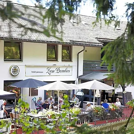 Hotel-pension Zum Paradies 2* Willingen (Upland)