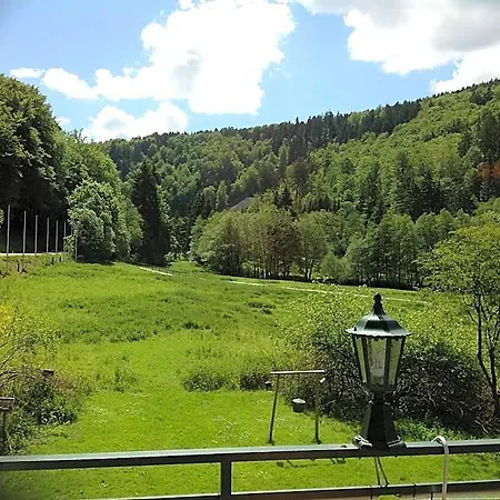Hotel-pension Zum Paradies 2* Willingen (Upland)