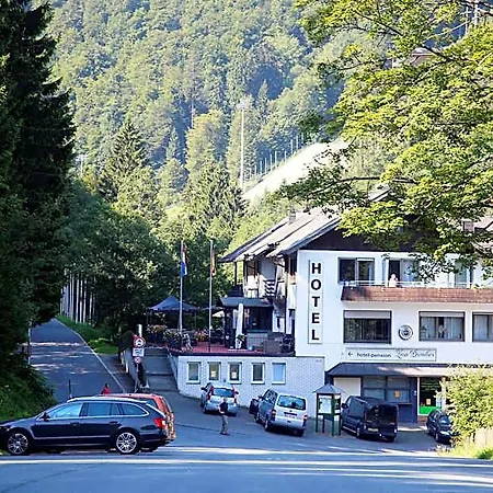 Hotel-pension Zum Paradies 2* Willingen (Upland)