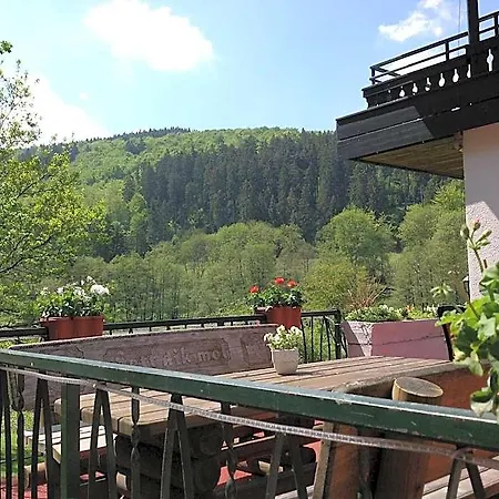 Hotel-pension Zum Paradies Hotel Willingen (Upland)