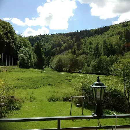 Hotel-pension Zum Paradies Отель Виллинген