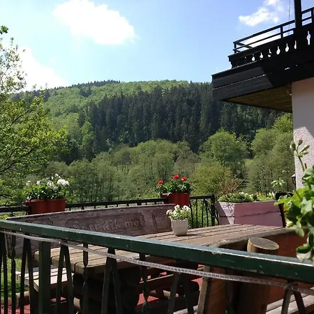 Hotel-pension Zum Paradies Отель