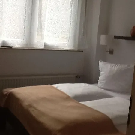 Hotel-pension Zum Paradies فيلنغن