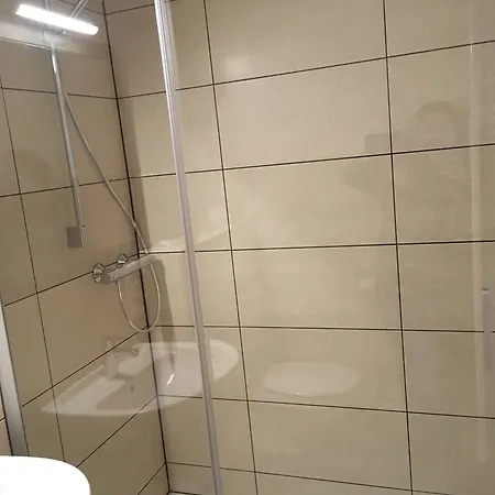 Hotel-pension Zum Paradies 2* Willingen (Upland)