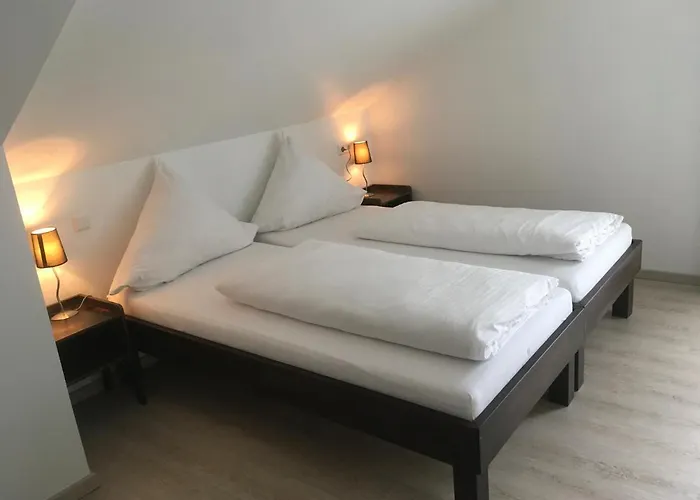 Hotel Hotel-pension Zum Paradies Willingen (Upland)