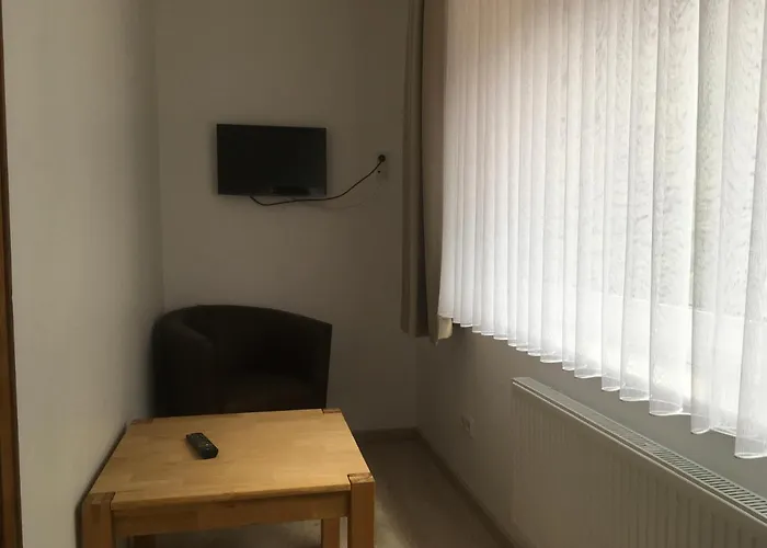 Hotel Hotel-pension Zum Paradies Willingen (Upland)