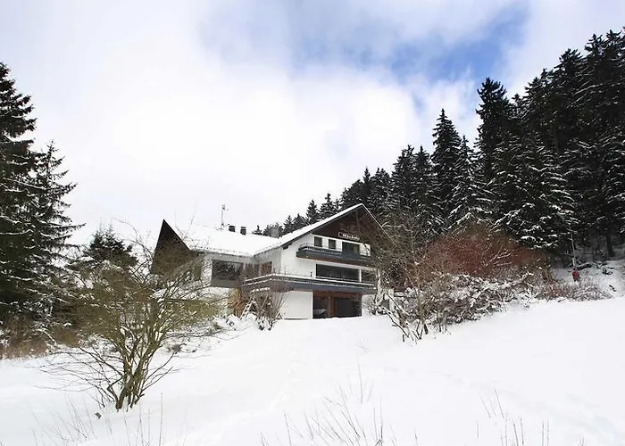 Hotel Hotel-pension Zum Paradies Willingen (Upland)