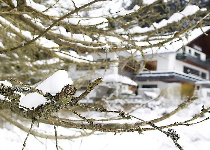 Hotel-pension Zum Paradies 2* Willingen (Upland)