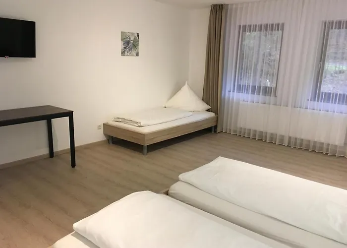 Hotel-pension Zum Paradies Willingen (Upland)