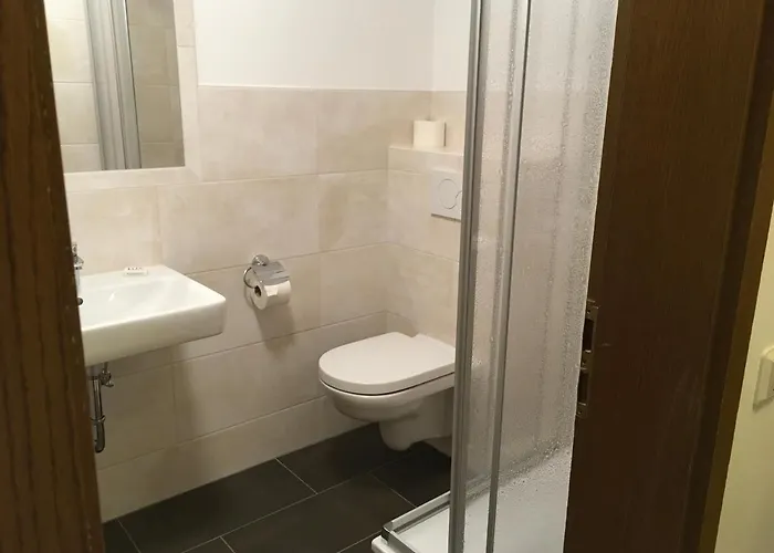 Hotel Hotel-pension Zum Paradies 2*