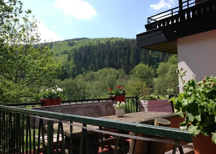 Hotel-pension Zum Paradies Hotel