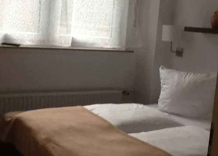 Hotel-pension Zum Paradies Willingen (Upland)